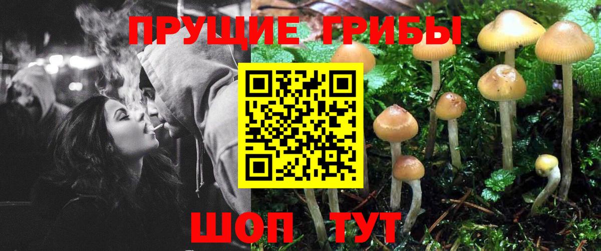 Галлюциногенные грибы прущие грибы Черногорск